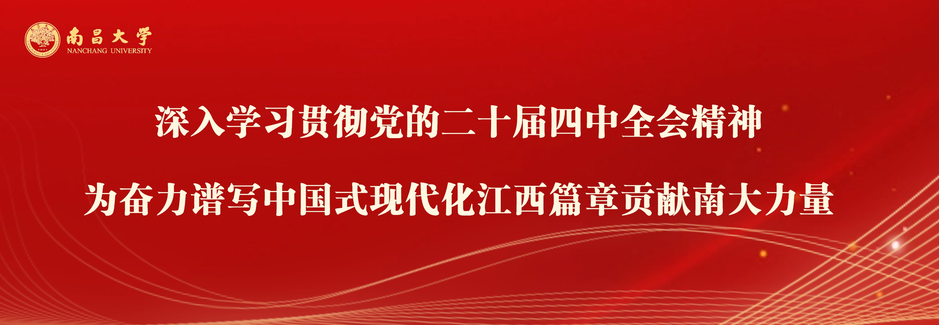             二十届四中全会精神 
    
